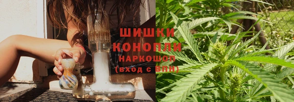 сатива Абаза