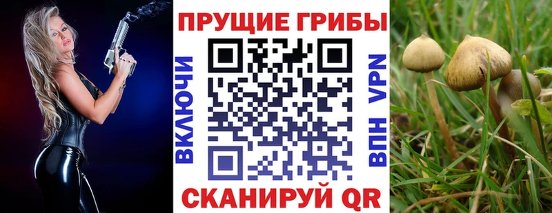 Псилоцибиновые грибы MAGIC MUSHROOMS купить наркотик Энгельс